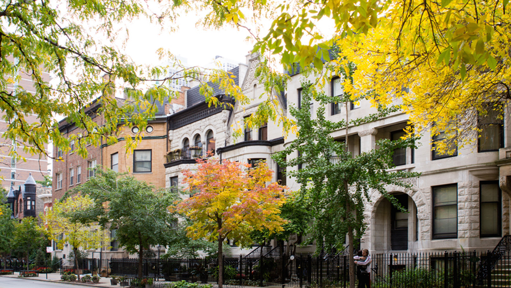 Near North Side & Gold Coast Chicago
