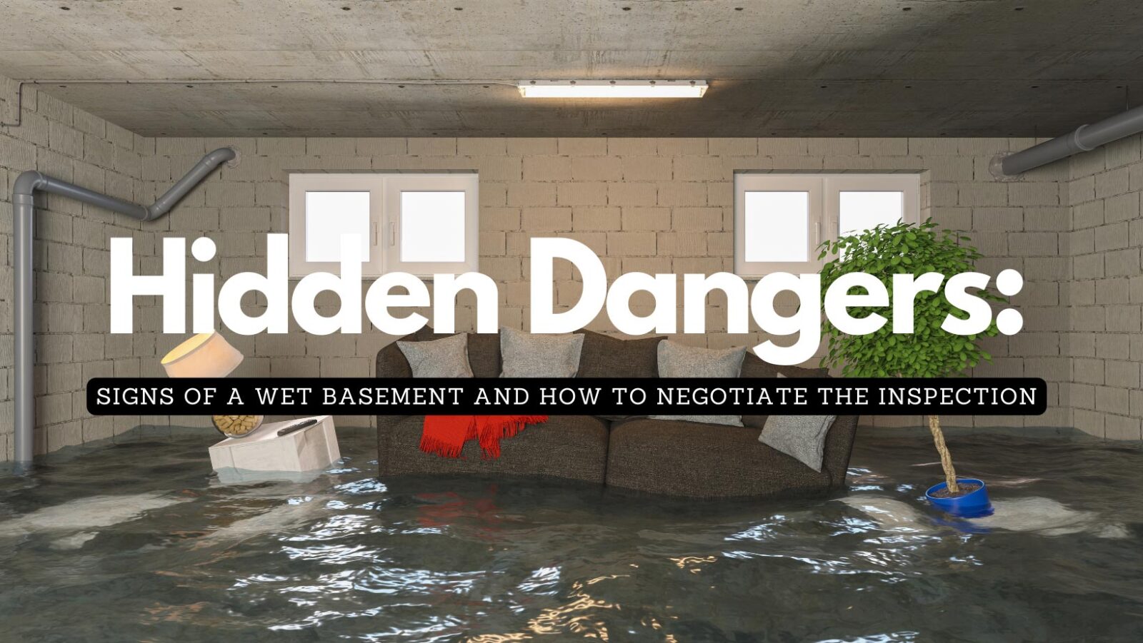 Hidden Dangers: Signs of a Leaky or Wet Basement When Buying a New Home