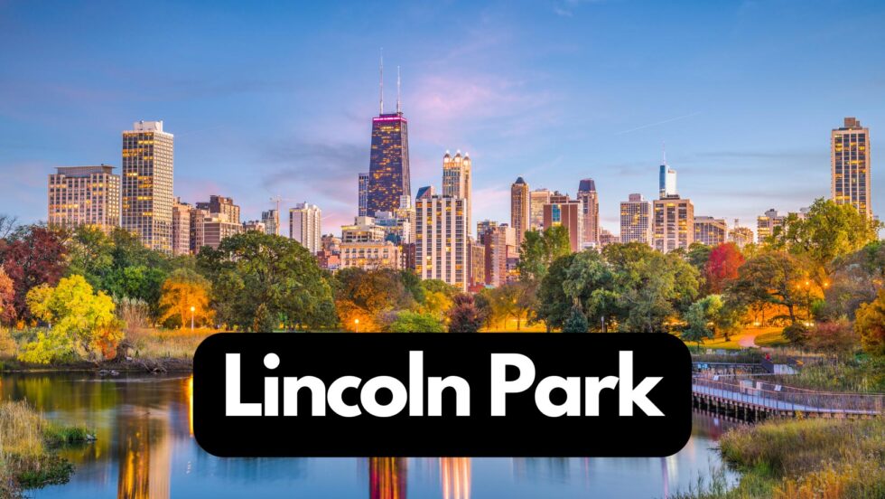 Exploring The Dynamic Lincoln Park Real Estate Market Ben Lalez