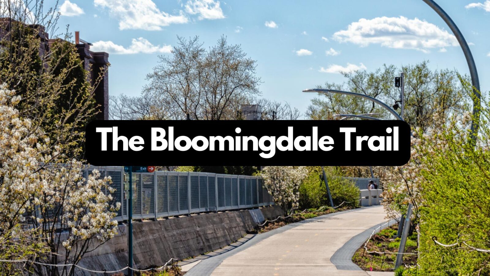 The Bloomingdale Trail: A Comprehensive Exploration