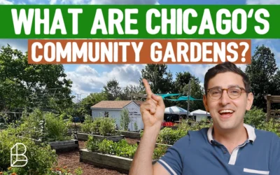 What Are Chicago’s Community Gardens?
