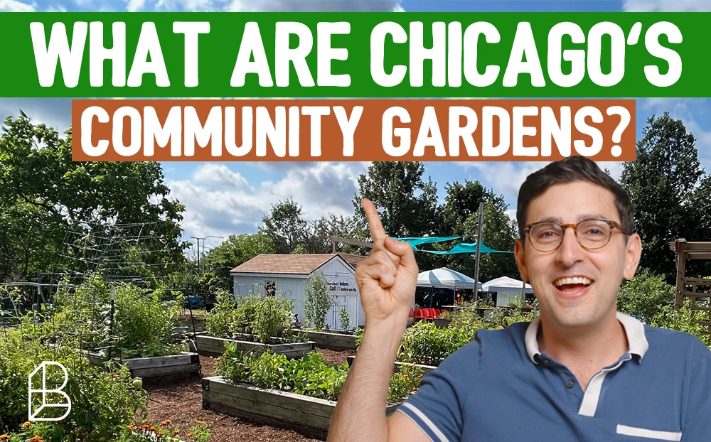 What Are Chicago’s Community Gardens?
