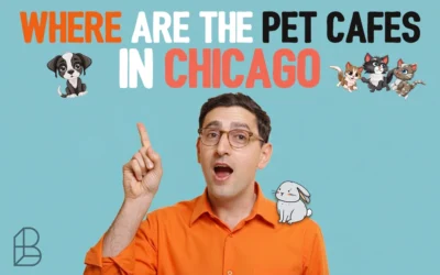 Where Are The Pet Cafés In Chicago?