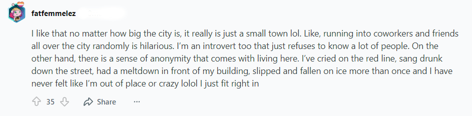 Chicago Big City Amenities Small City Feel