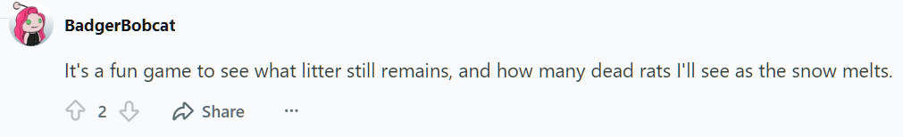 Chicago trash complaints