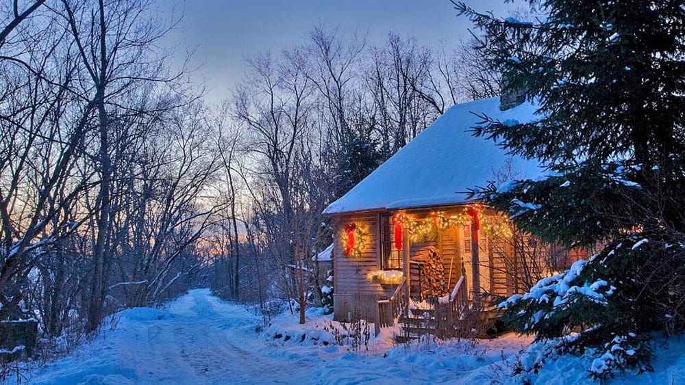 Chicago couple's getaway 3