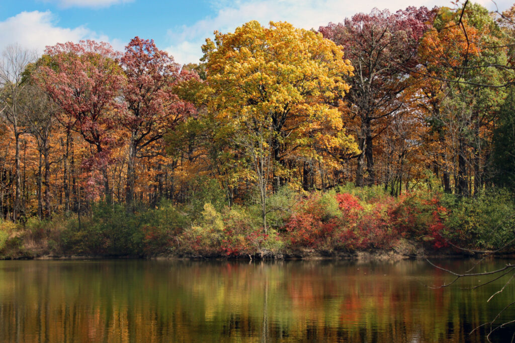 chicago fall colors