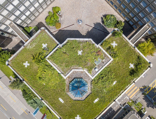 Spotlight on Sustainable Homes: Green Living in Chicago